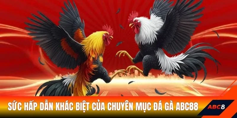 Sức hấp dẫn khác biệt của chuyên mục đá gà ABC8
