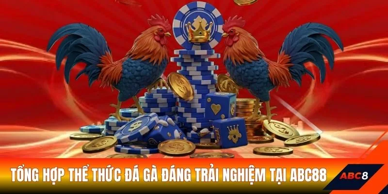 Tổng hợp thể thức đá gà đáng trải nghiệm tại ABC8